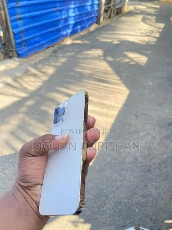 Apple iPhone 13 Pro Max (Used)