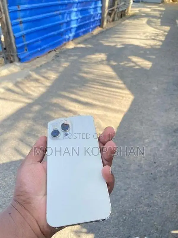 Apple iPhone 13 Pro Max (Used)