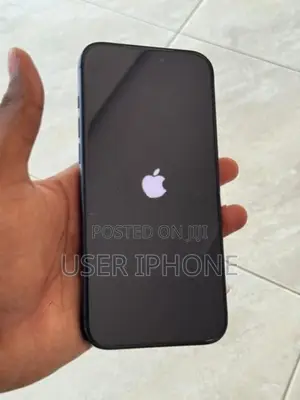 Apple iPhone 17 Pro Max (Used)