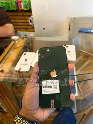 Apple iPhone 13 (Used)
