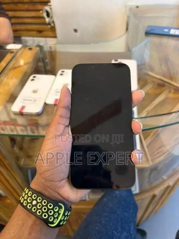 Apple iPhone 13 (Used)