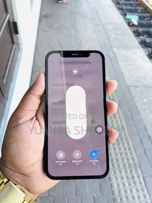 Apple iPhone 12 (Used)