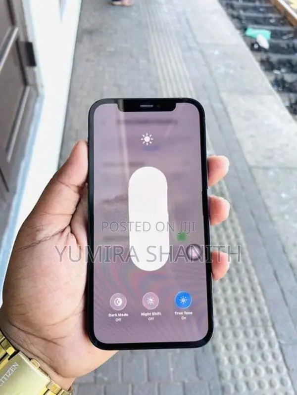 Apple iPhone 12 (Used)