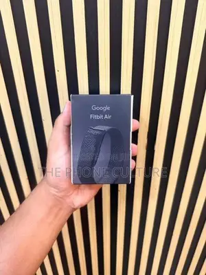 Google Fitbit Air