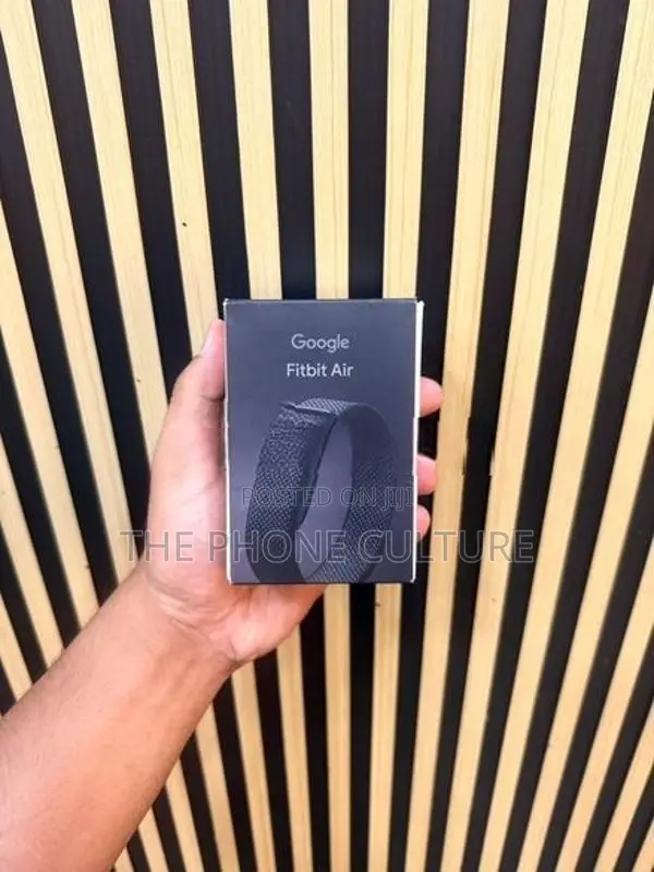 Google Fitbit Air