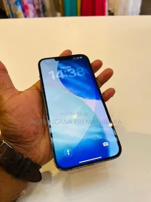 Apple iPhone 13 Pro Max (Used)