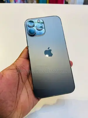 Apple iPhone 13 Pro Max (Used)