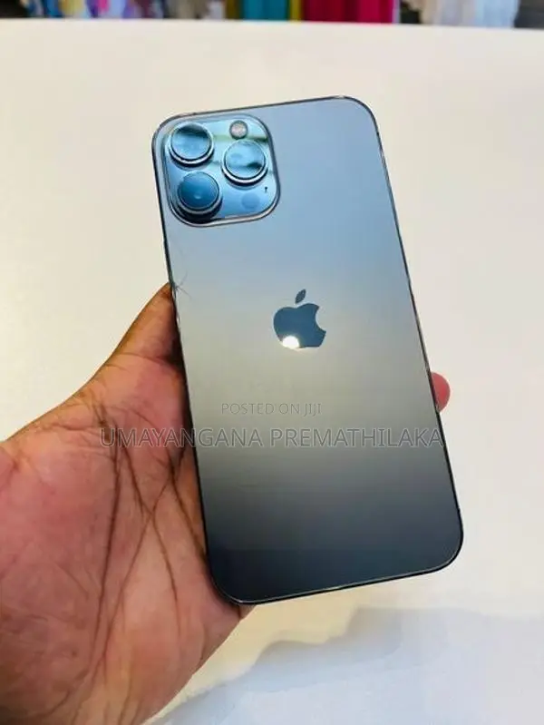 Apple iPhone 13 Pro Max (Used)