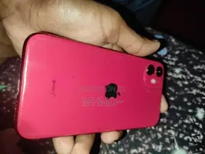 Apple iPhone 11 (Used)