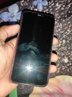 Apple iPhone 11 (Used)
