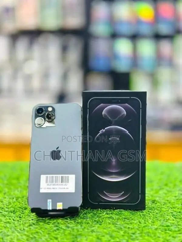 Apple iPhone 12 Pro Max 256GB (Used)