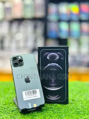Apple iPhone 12 Pro Max 256GB (Used)