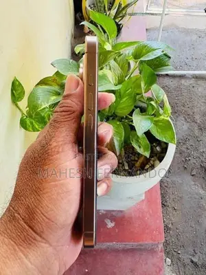 Apple iPhone 16 Pro (Used)