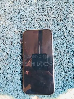 Apple iPhone 17 (Used)