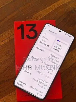 OnePlus 13 (Used)