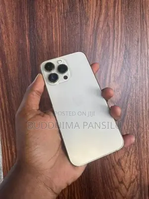 Apple iPhone 13 Pro (Used)