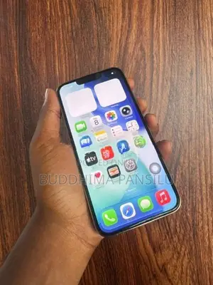 Apple iPhone 13 Pro (Used)