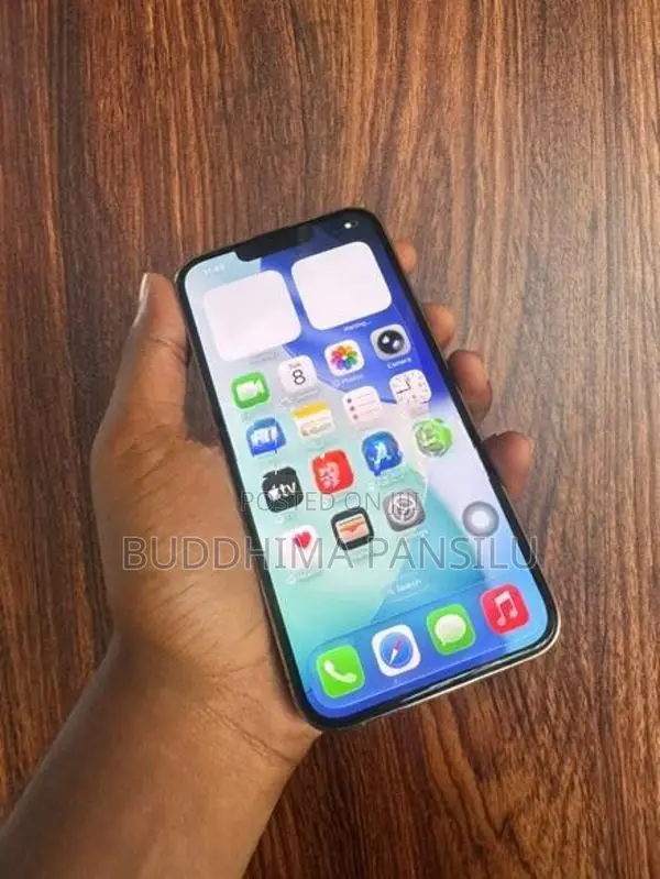 Apple iPhone 13 Pro (Used)