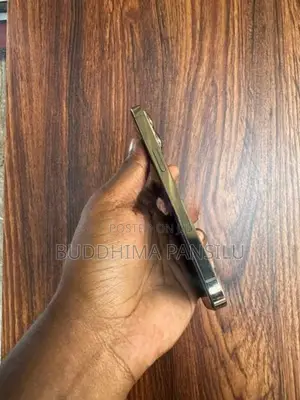 Apple iPhone 13 Pro (Used)