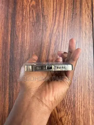 Apple iPhone 13 Pro (Used)