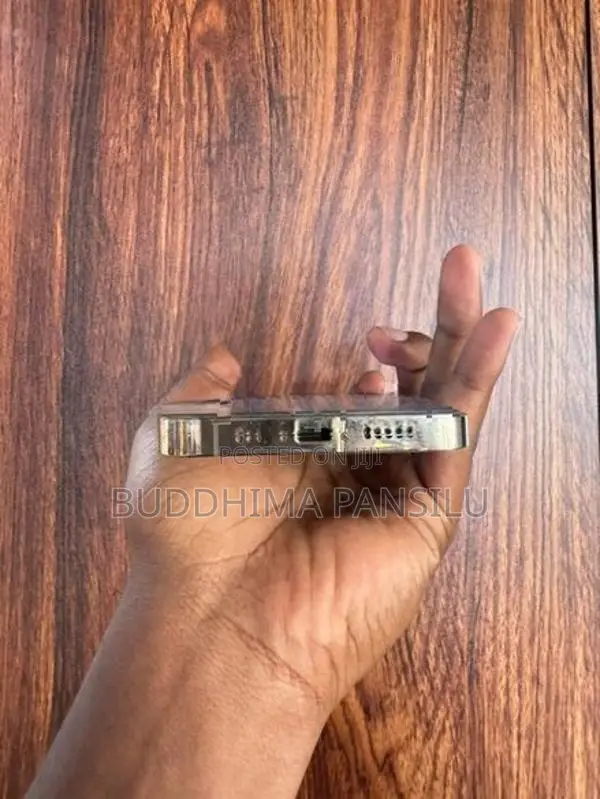 Apple iPhone 13 Pro (Used)