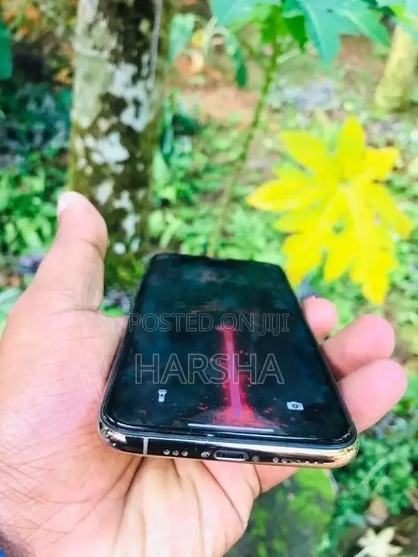 Apple iPhone 11 Pro 64GB (Used)