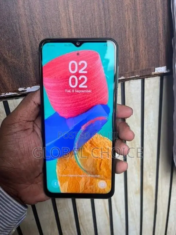 Samsung Galaxy M33 5G (Used)