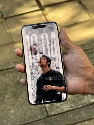 Apple iPhone 15 Pro Max (Used)