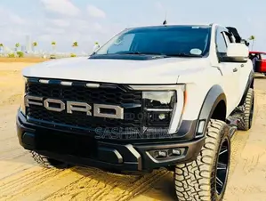 Ford Raptor Ranger F150 Modified 2017 Pickup (Used)