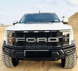 Ford Raptor Ranger F150 Modified 2017 Pickup (Used)