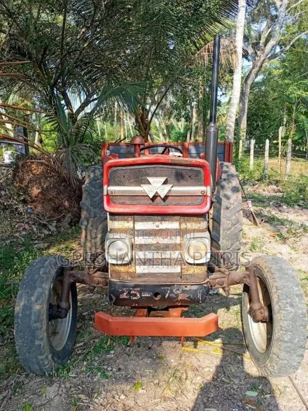 Massey-Ferguson MF 135 1980 Tractor (Used)