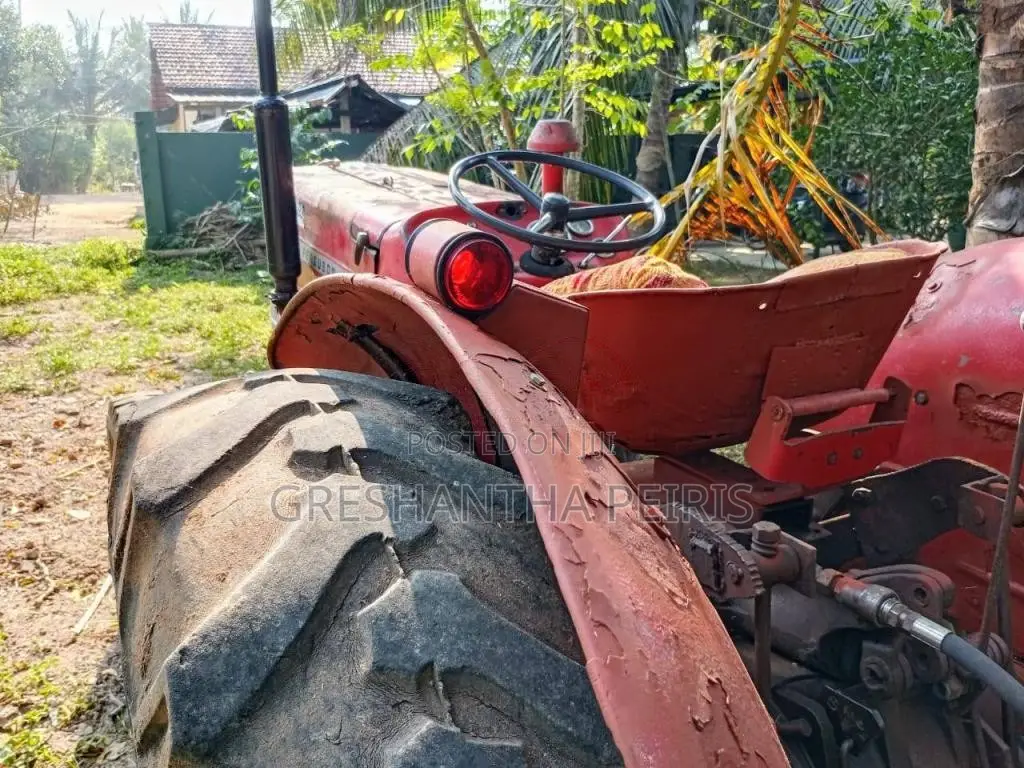 Massey-Ferguson MF 135 1980 Tractor (Used)