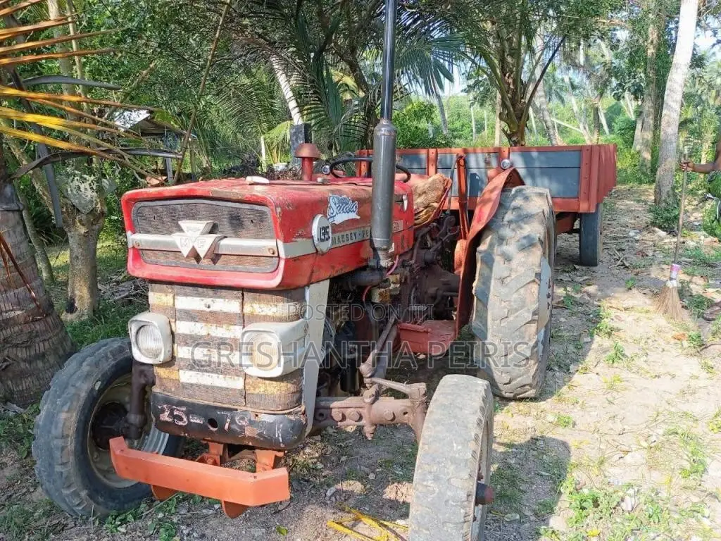 Massey-Ferguson MF 135 1980 Tractor (Used)