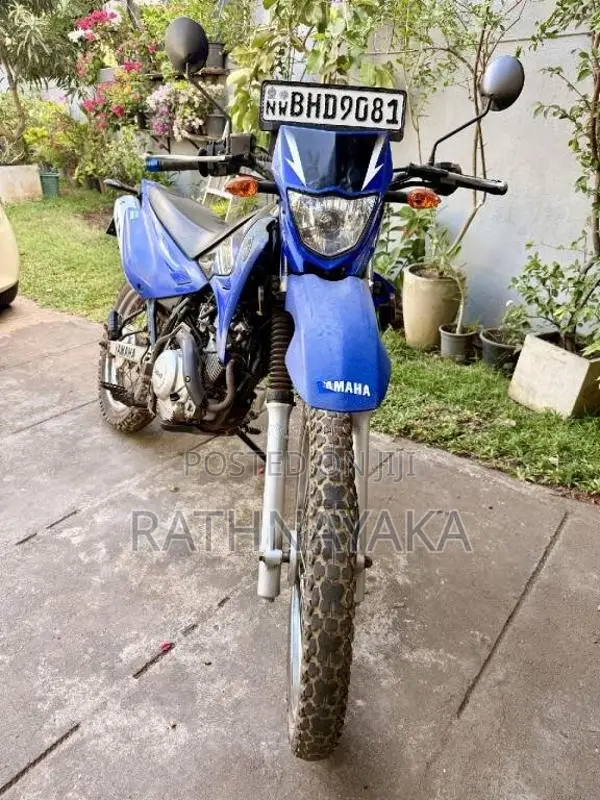 Yamaha Yamaha 2018 Three Wheel (Used)