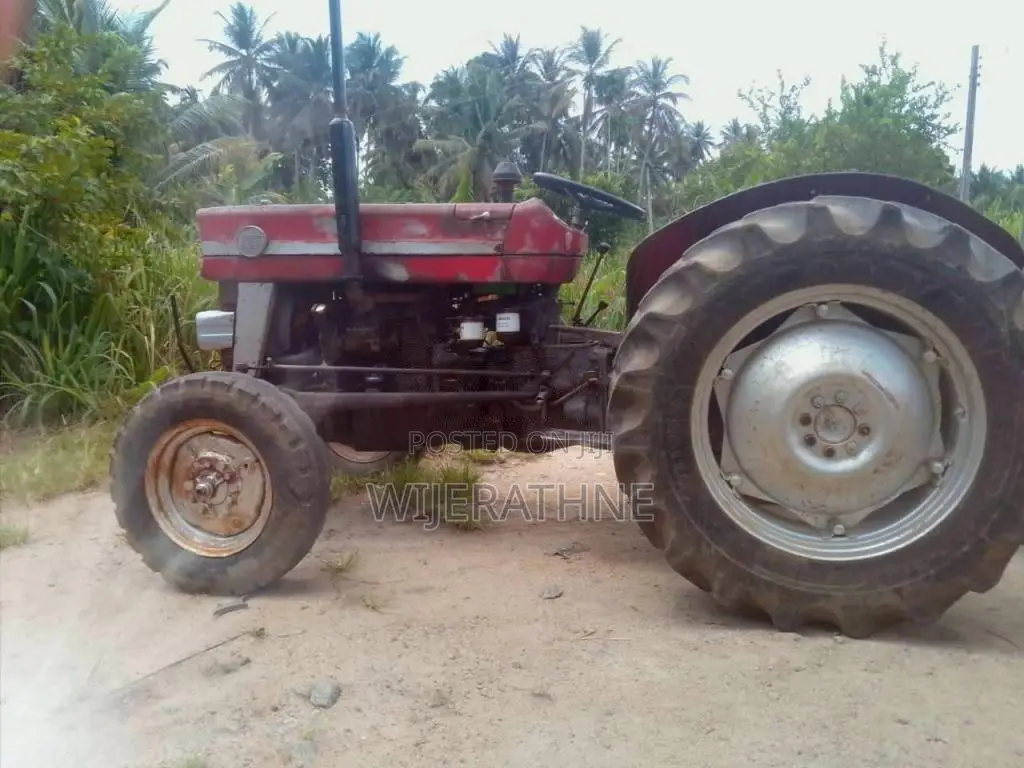 Massey-Ferguson 135 DL 1980 Tractor (Used)