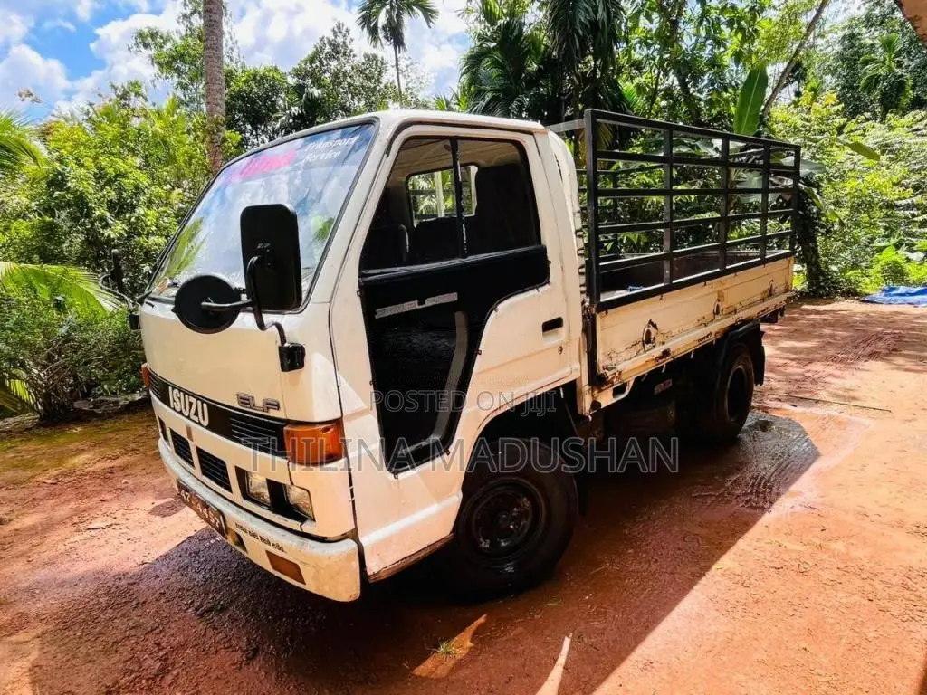 Isuzu ELF 250 1995 Lorry (Used)