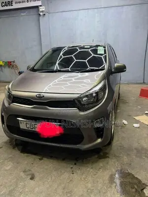 Kia Picanto 2017 Car (Used)