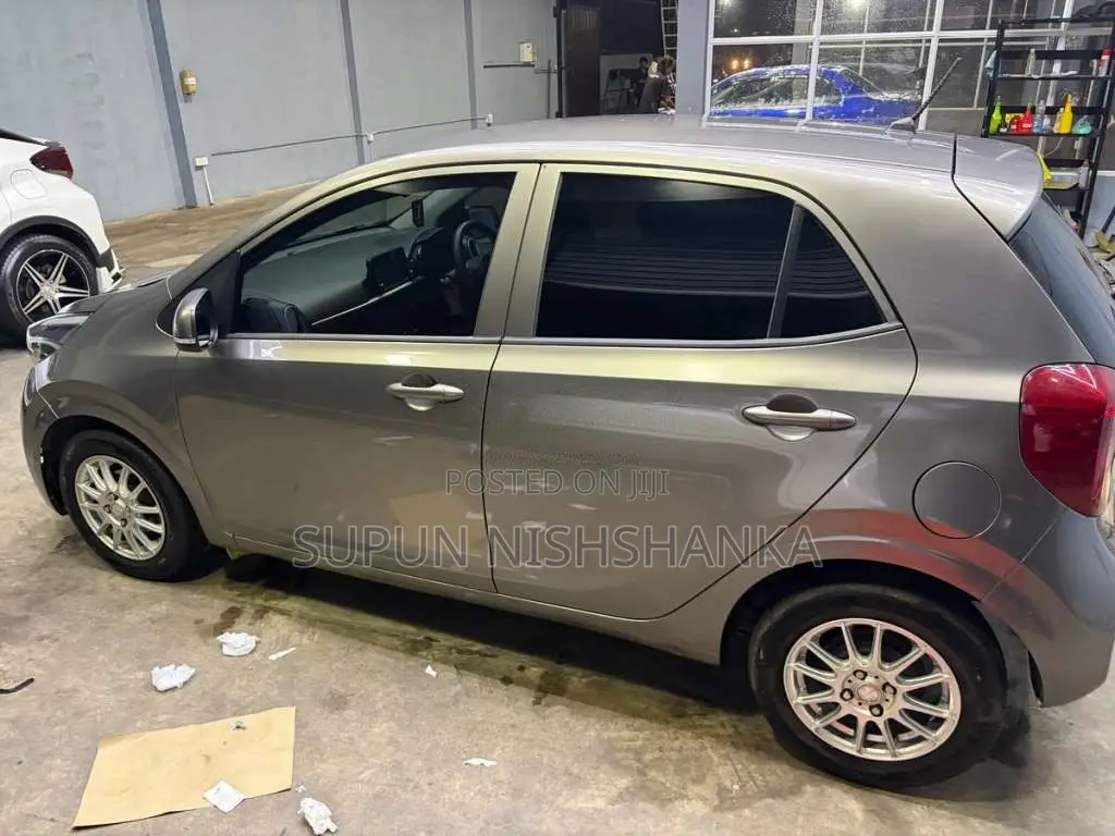 Kia Picanto 2017 Car (Used)