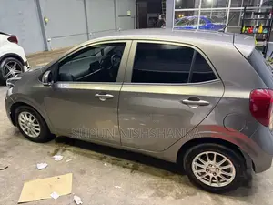 Kia Picanto 2017 Car (Used)