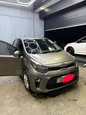 Kia Picanto 2017 Car (Used)