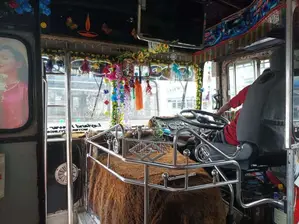 Ashok-Leyland Viking 2010 Bus (Used)