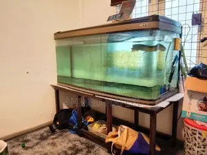 150cm Boyu Fish Tank Full Set