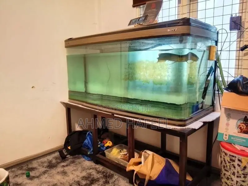 150cm Boyu Fish Tank Full Set