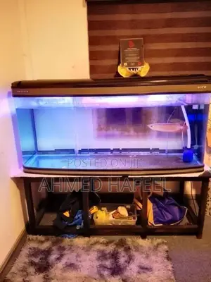 150cm Boyu Fish Tank Full Set