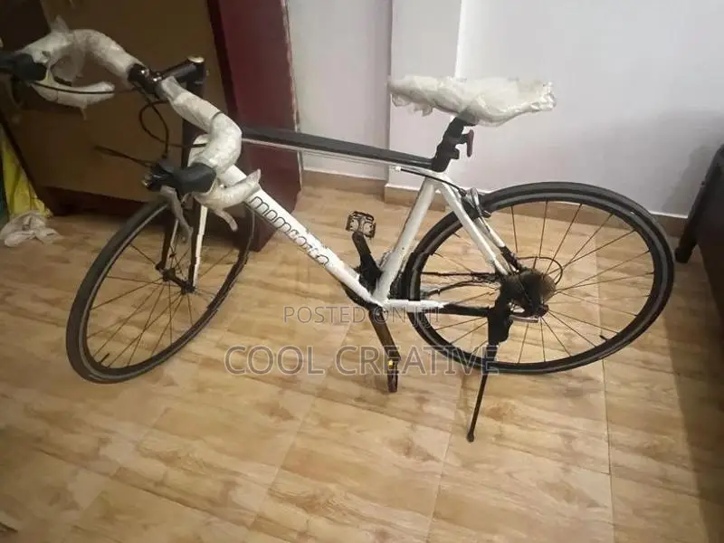 Momentum Racing Bicycle 24