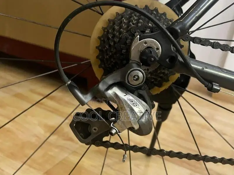 Momentum Racing Bicycle 24