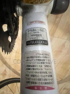 Momentum Racing Bicycle 24