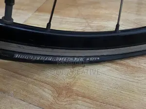 Momentum Racing Bicycle 24