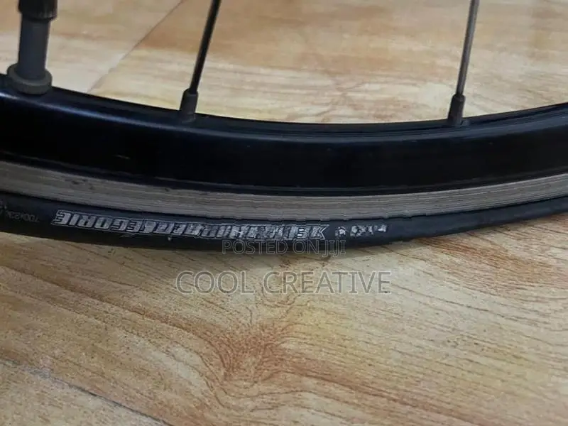 Momentum Racing Bicycle 24