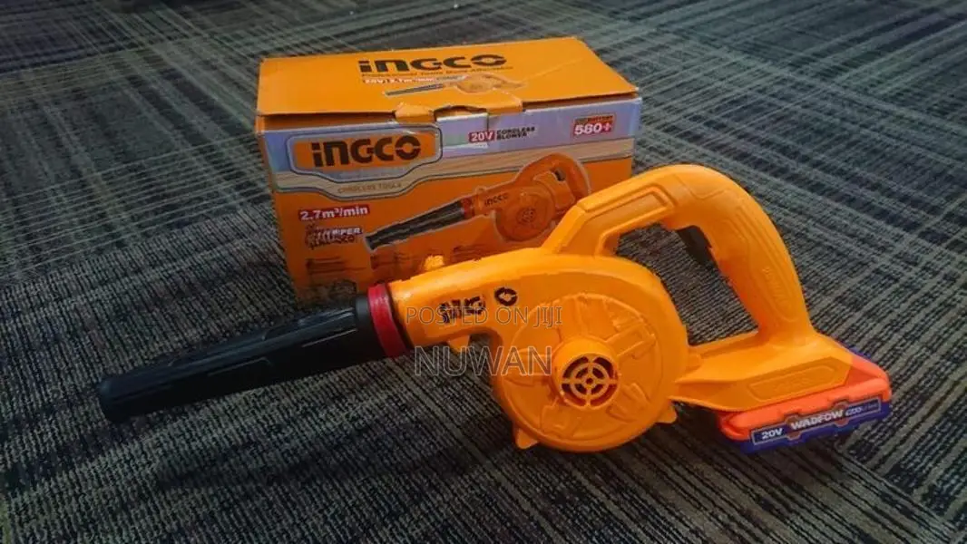 Ingco Cordless Blower with Wadfow 20v Battery
